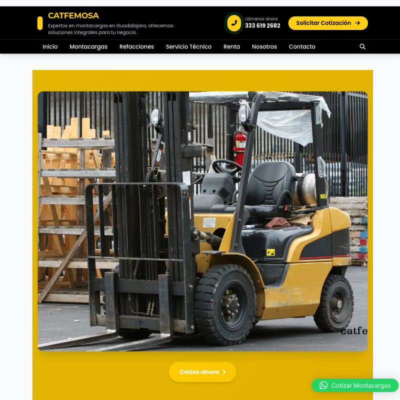 Captura del sitio de Catfemosa